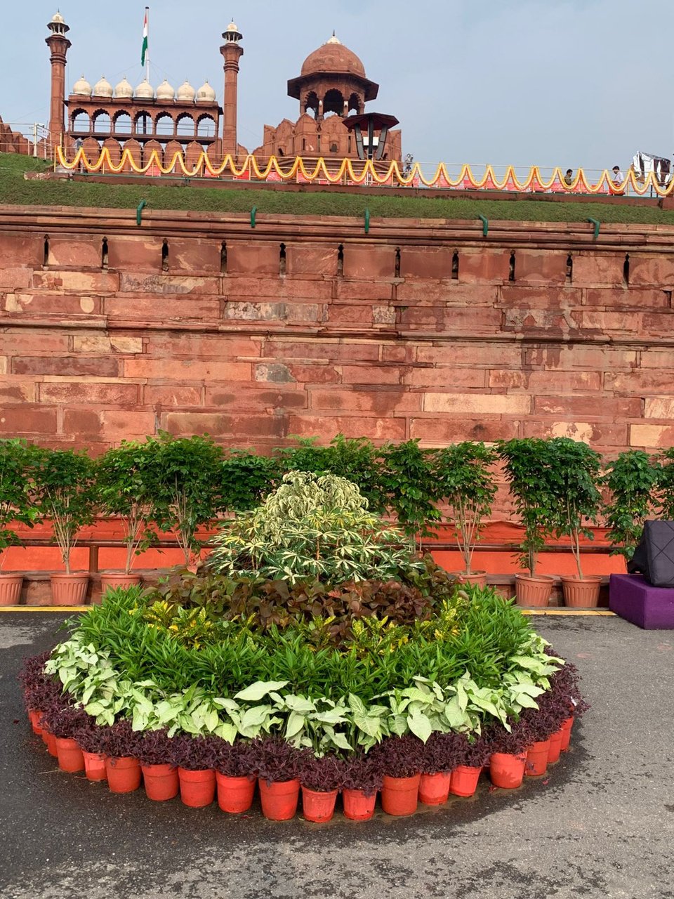 Greenness Nursery Multi-Tier Landscaping Installation