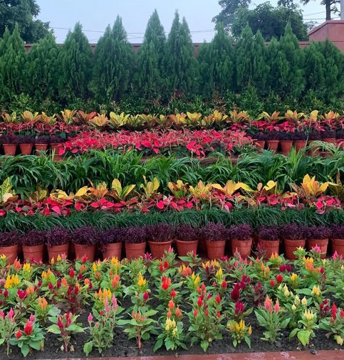 AIIMS Bilaspur Entrance Greenery