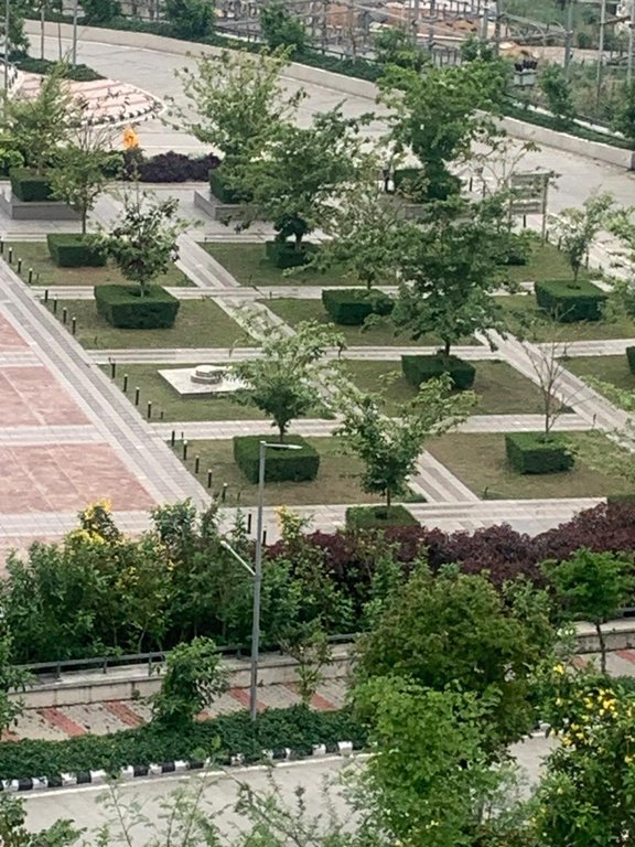AIIMS Bilaspur Medical College Campus Landscaping