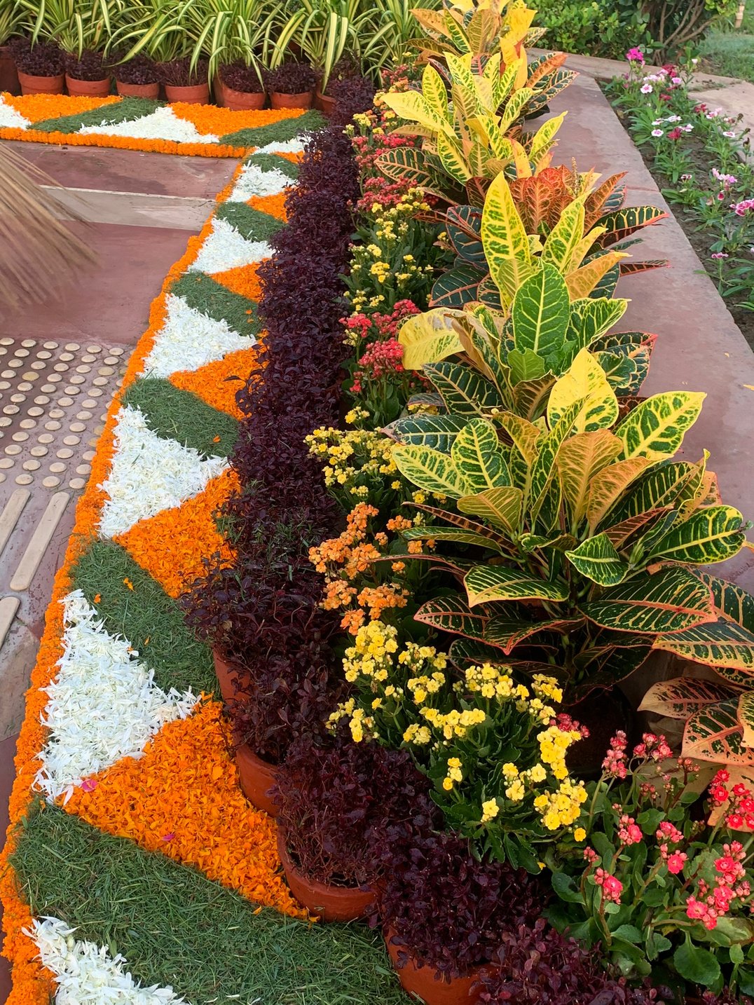 Greenness Nursery Plant Collection