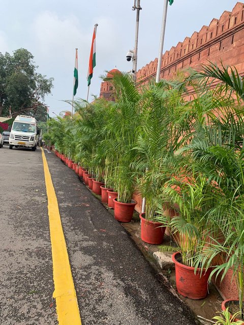 Red Fort Parade Boulevard Palms