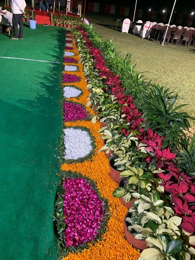 NSSTA Noida Campus Lawns