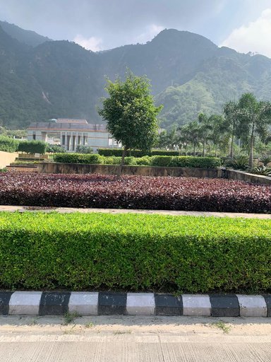 Rajghat Tiered Flower Wall