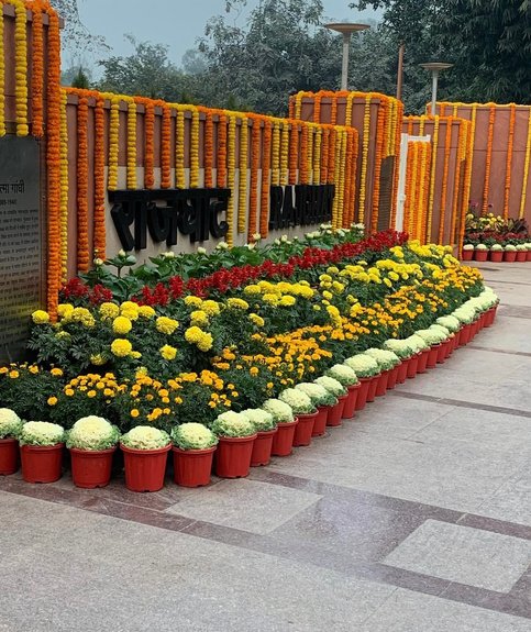 Rajghat Poinsettia Beds